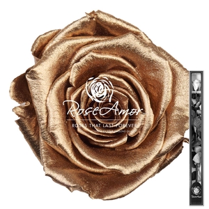 60cm Stem Metallic Gold