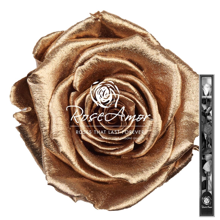 <h4>60cm Stem Metallic Gold</h4>