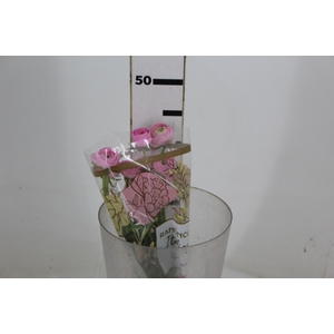 RANUN. ELEGANCE ROSA 040 CM ROSA CLARO