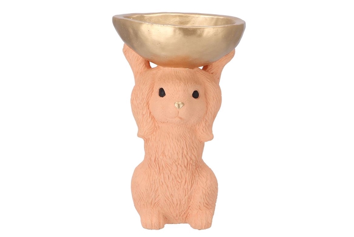 <h4>Easter Bunny-bowl Light Orange 19x15x28cm Nm</h4>