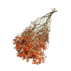 Dried flowers Gyps 70cm 50g