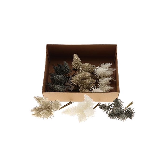 <h4>Bunch Tree Nobilis Bnd 6pcs</h4>