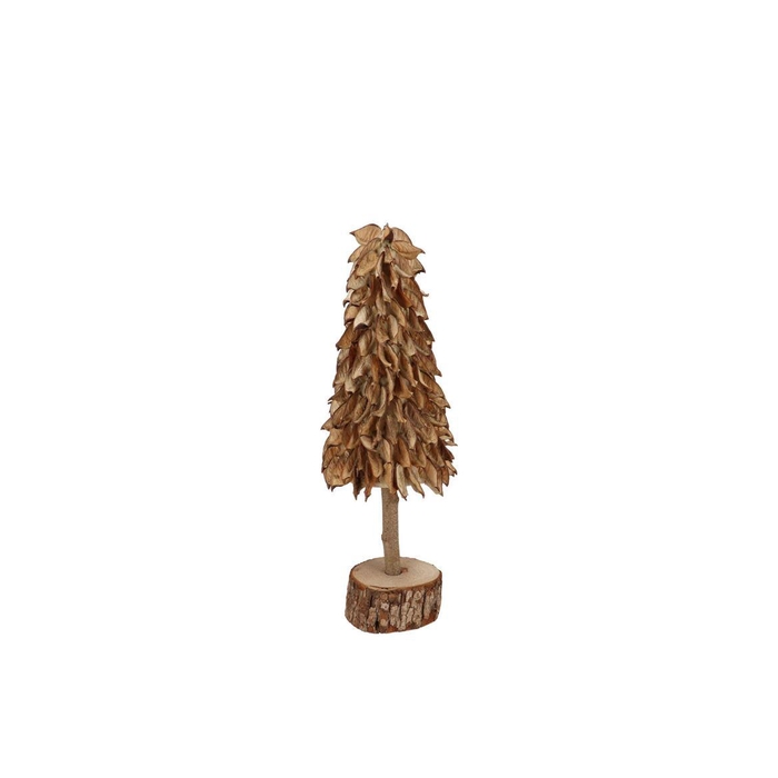 <h4>Nature Cotton Shell Tree 12x30cm Nm</h4>
