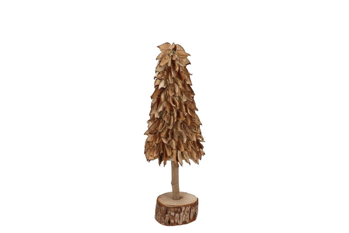 Nature Cotton Shell Tree 12x30cm Nm