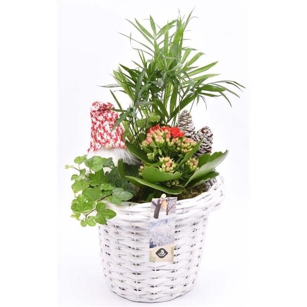 <h4>Wilg bloempot wit 18cm</h4>