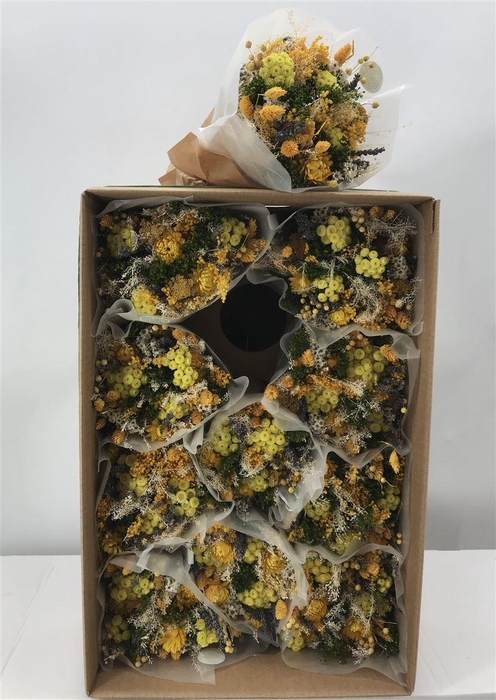 <h4>Dr Bqt Dried Fantasy Yellow</h4>