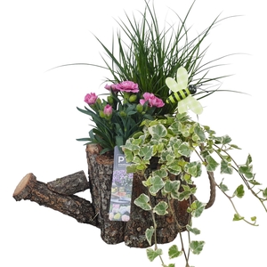PTPP7051 Arrangement Patio in houten gieter
