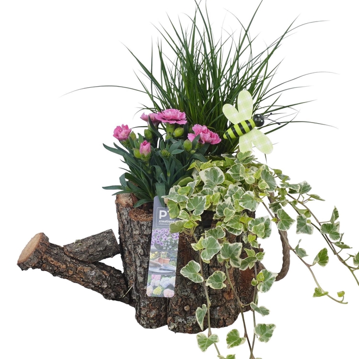 <h4>PTPP7051 Arrangement Patio in houten gieter</h4>