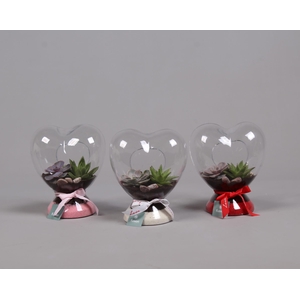 Green Bottle hart met succulenten