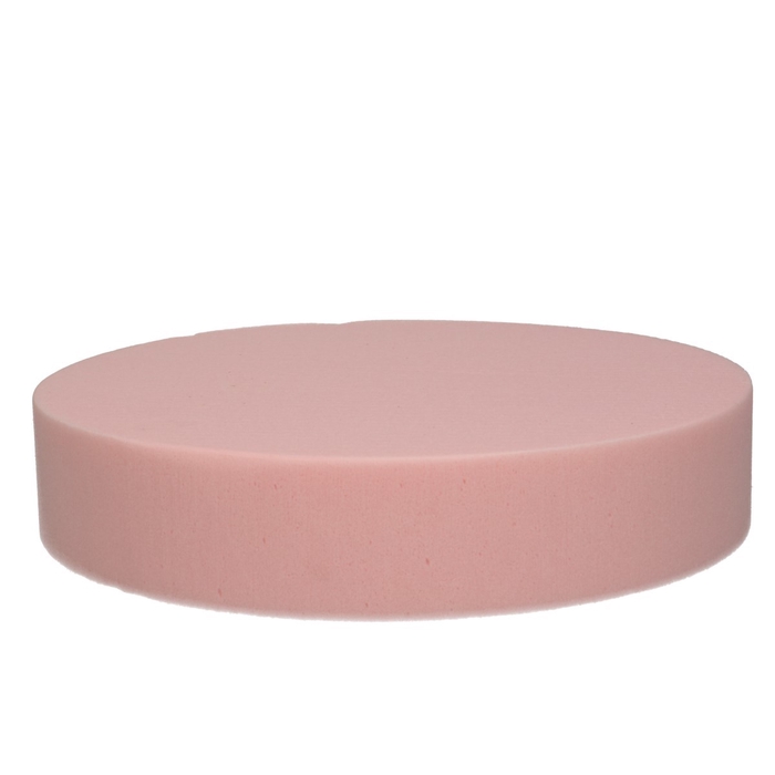 <h4>Oasis Kleur Cake d25*5cm</h4>