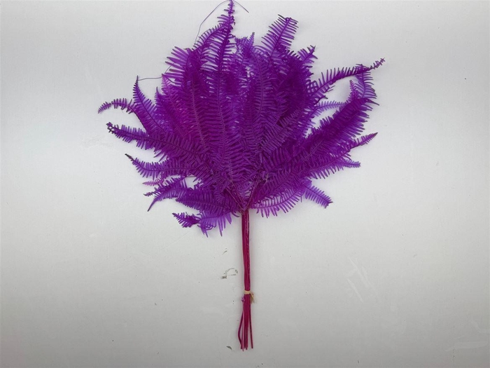 <h4>Pres Bracken Fern Cerise 10pcs Bunch</h4>