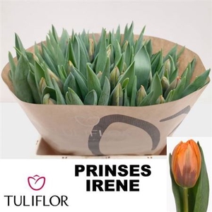 Tu En Prinses Irene