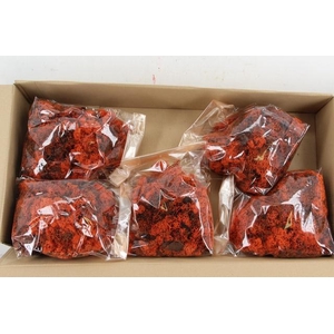 Moss Icelandic 500gr Orange