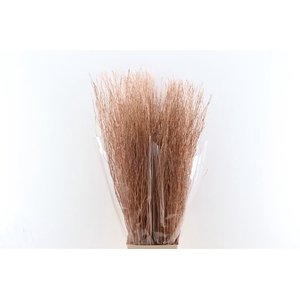 Branch 100cm Copper P Stem