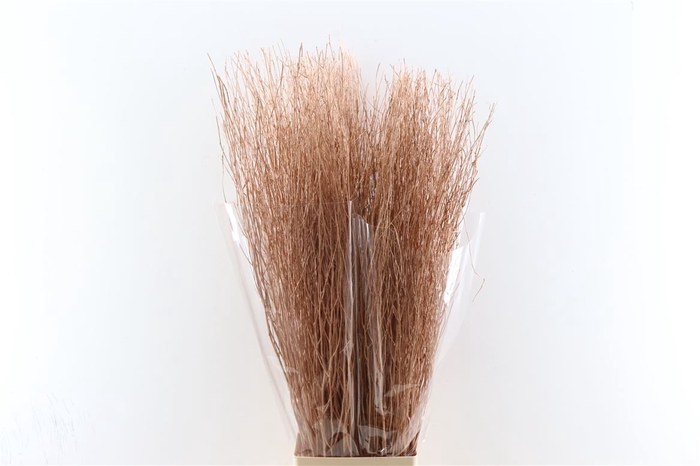 <h4>Branch 100cm Copper P Stem</h4>