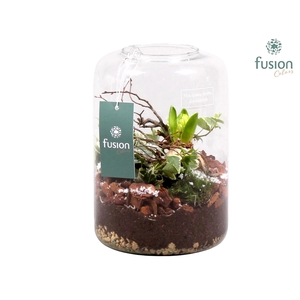 Green Bottle Isabella Small met Arrangement