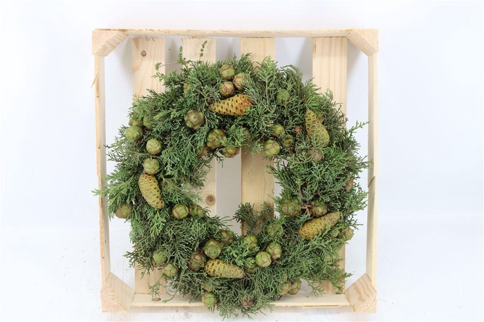 <h4>Wr Cypresse Pinecone 40cm</h4>