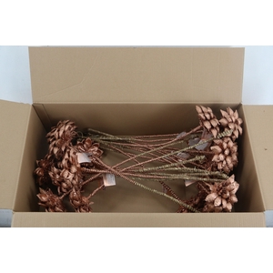 Stick Dahlia Sweet Copper