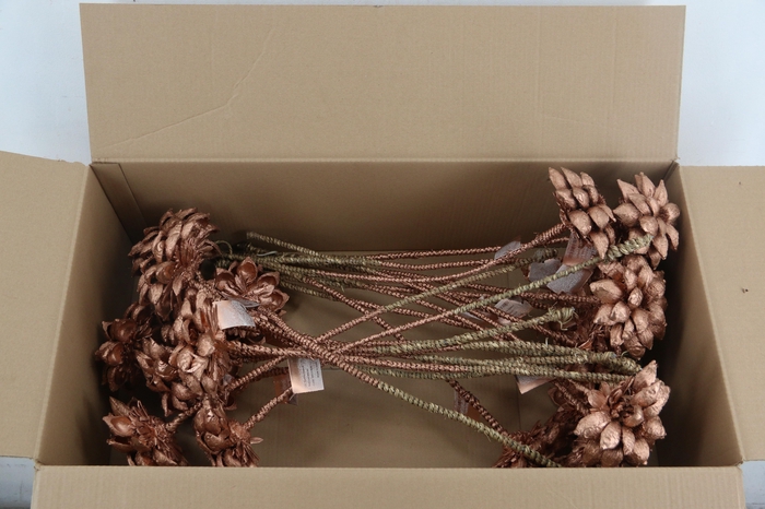 <h4>Stick Dahlia Sweet Copper</h4>