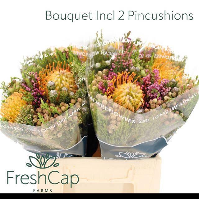 <h4>KAAPS GROE GEM IN BS</h4>