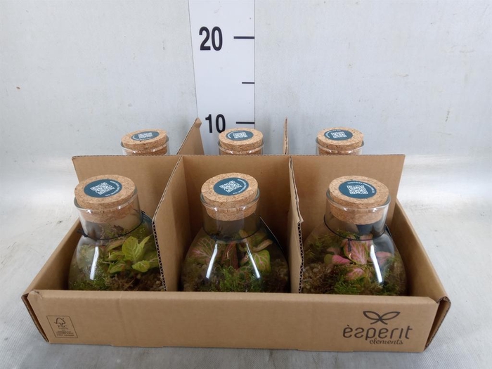 <h4>Arr.    Planten  L%</h4>