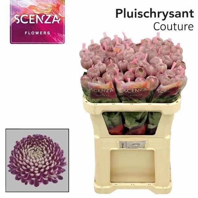 <h4>Chr G Couture</h4>