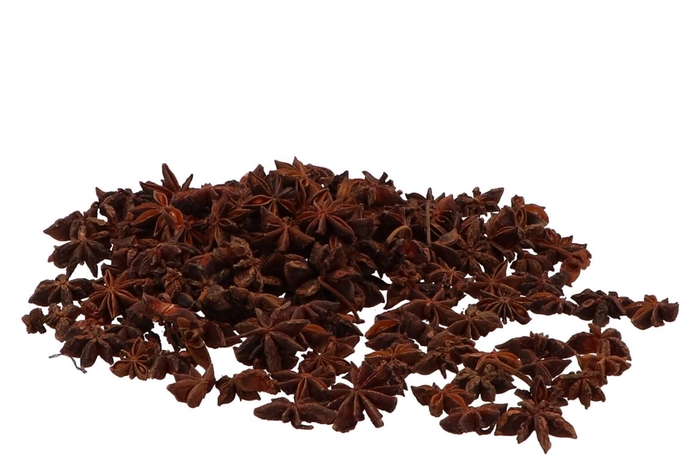 <h4>Nature Star Anise 500gram</h4>