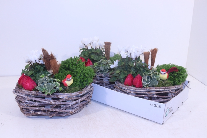 <h4>ARR TUINPLANTEN</h4>