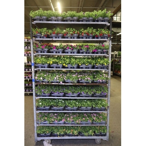Calib Mixk 1 Kleur Per Tray