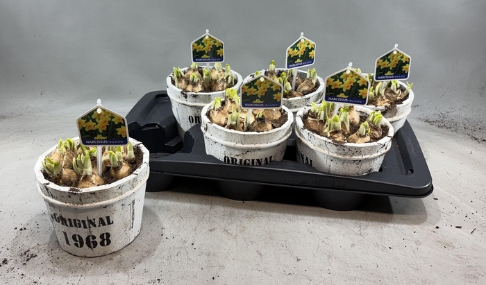 <h4>ARR N TETE A TETE</h4>