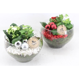 arr2 PL - Glas schaal frank - rood/wit