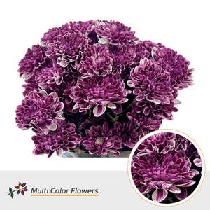 Chr T Altaj Dark Cherry