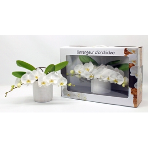 L'arrangeur D'orchidee (RIJP)
