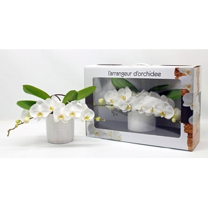 L'arrangeur D'orchidee (RIJP)