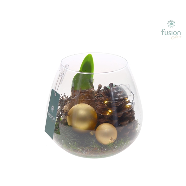 <h4>Green Bottle Abby Medium Kerst met arrangement.</h4>