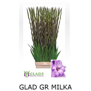 Glad Milka