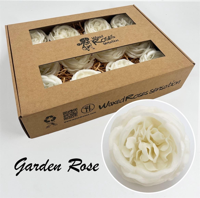 <h4>Zijde R Garden Wx Wit</h4>