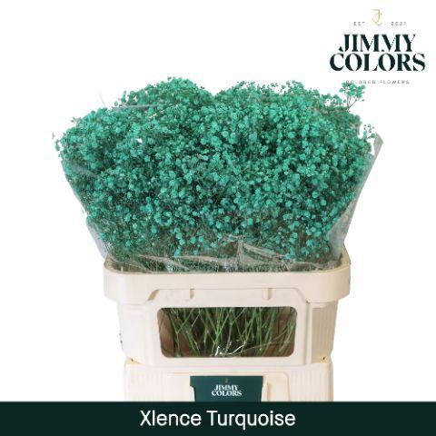<h4>Gyps Xlence L80 Turquoise</h4>