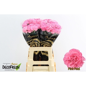 Di St Pink Pixel