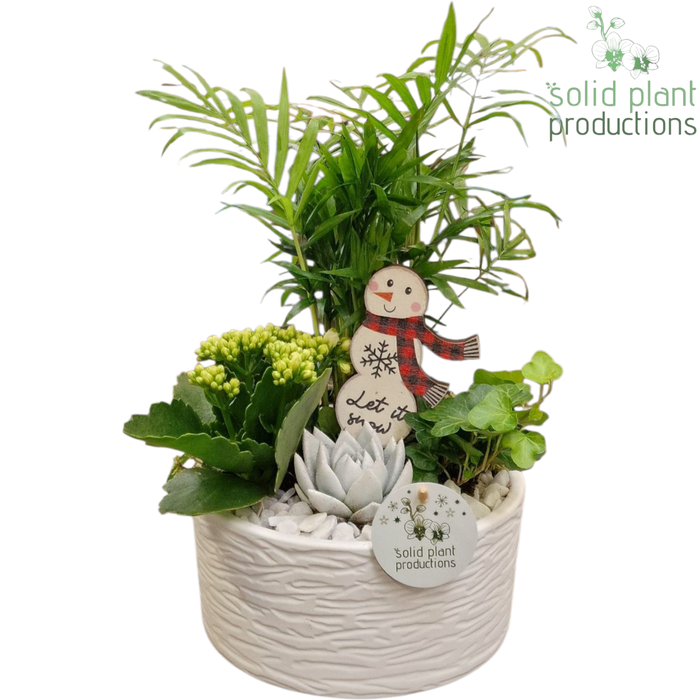 <h4>CH003 Loes White</h4>