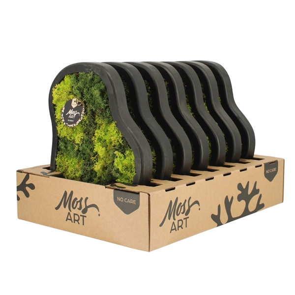 <h4>90781: Moss Art arrangement D36</h4>