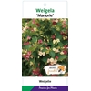 Weigela overig