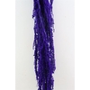Pres Amaranthus Caud Light Purple Bunch