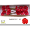 Anth. andr Impulz x12
