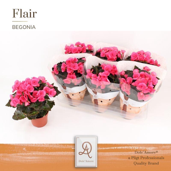 <h4>BEG HL ADONIA PINK</h4>
