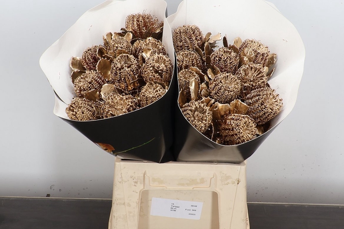 <h4>Banksia Wx Goud</h4>