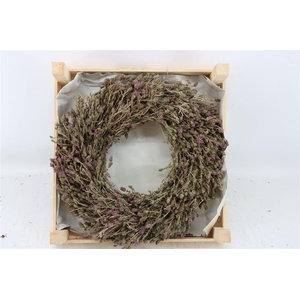 Wr Thym Naturel 40cm