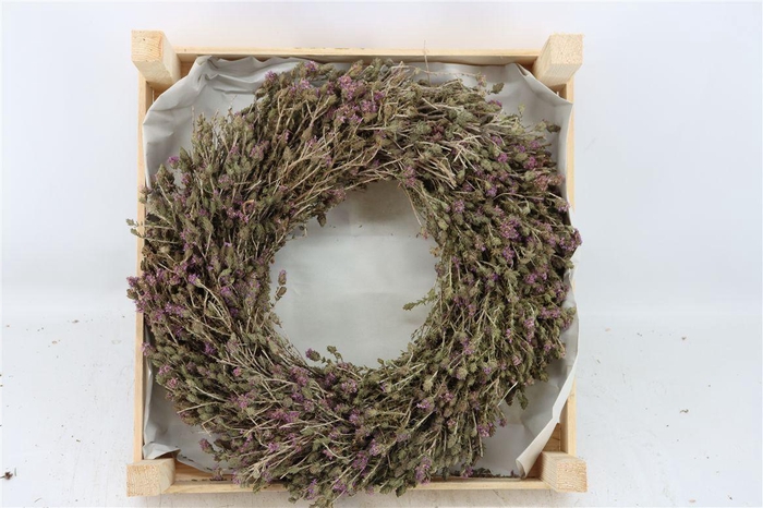 <h4>Wr Thym Naturel 40cm</h4>