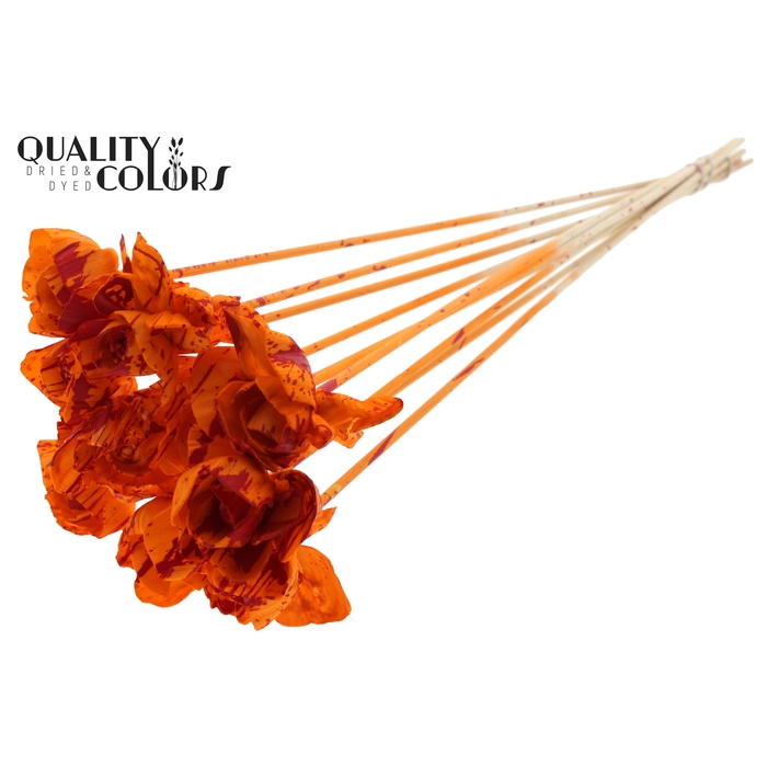 <h4>Shola Dear Holly 6cm on stem Splashed Orange/Red</h4>