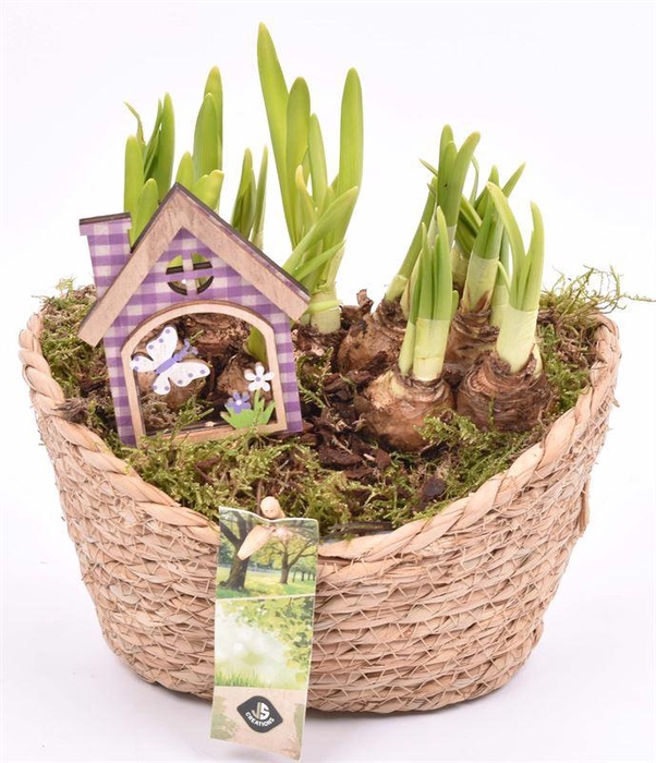 <h4>Touwmand ovaal 19x14cm</h4>